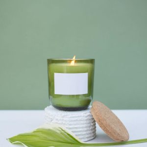 Coconut Apricot Wax