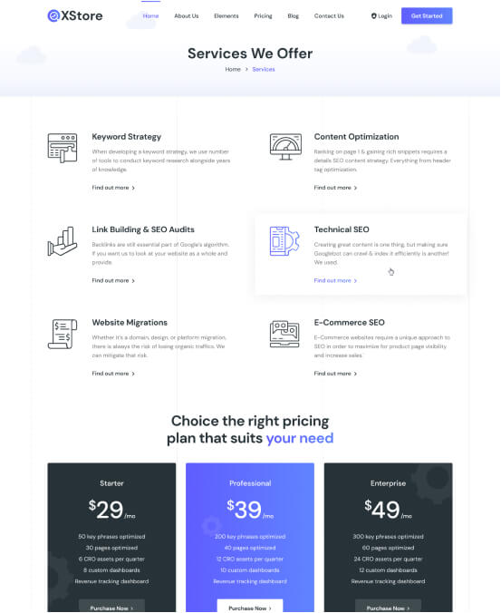 XStore WooCommerce theme SEO Agency Demo Services